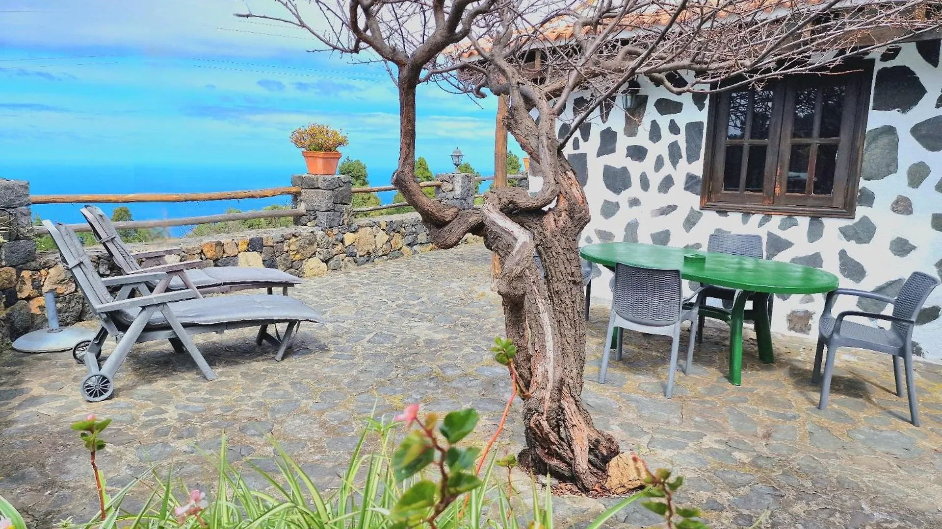 Casa Canaria Drago In Icod De Los Vinos By Hrtenerife Net